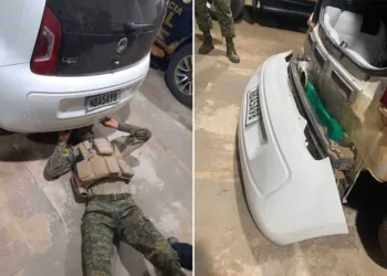 Equipe do Gefron apreende mais 6kg de entorpecente durante operação na BR-317