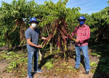 Roberto Duarte foi ao município conhecer o plantio de café do senhor Vanderlei de Lara (Foto: Assessoria)