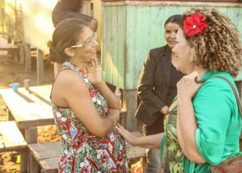 o Projeto de Lei 3932/2020 da deputada federal Perpétua Almeida (PCdoB), que afasta grávidas do trabalho presencial durante a pandemia