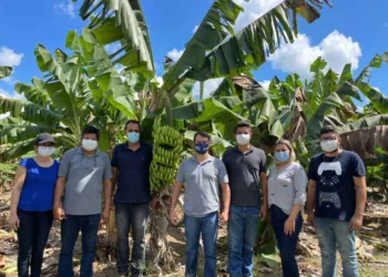 O parlamentar conversou com muitos produtores para saber suas principais demandas (Foto: Assessoria)
