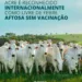 conquista da certificação de área livre de febre aftosa sem vacinação (Foto: Divulgação)