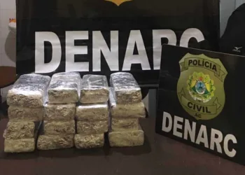 Polícia Civil apreende mais de sete quilos de maconha e prende dois em flagrante