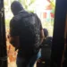 Dois são presos suspeitos de matar idoso a tiros dentro de casa em bairro de Rio Branco — Foto: Arquivo/Polícia Civil do Acre