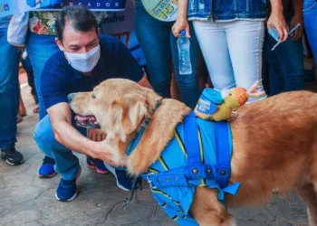 Aleac aprova projetos de Roberto Duarte que pune autor de maus tratos animais e que garante atendimento preferencial às pessoas com fibromialgia