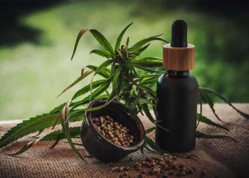 Comissão especial na Câmara dos Deputados aprova plantação da Cannabis para fins científicos no Brasil
