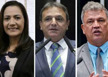 Mailza, Bittar e Petecão votam a favor da privatização da Eletrobras