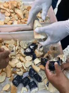 Polícia encontra droga dentro de pacote de torradas que seria entregue na Penitenciária