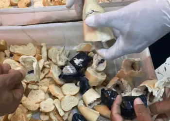Tabletes de droga estavam escondidos dentro de pedaços de pães torrados. (Foto: Iapen)