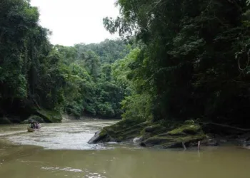 Serra do Moa
