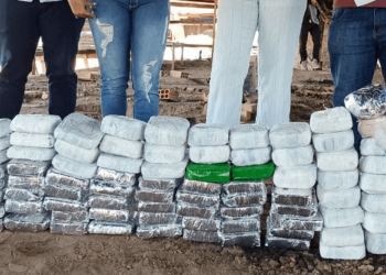 Material foi apreendido em operação na BR-364 na última, quarta,20. Foto: Polícia Civil)
