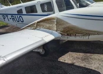 Avião bomotor é da empresa Ortiz (Foto: Assessoria)