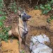 (Foto: Assessoria da Polícia Civil)