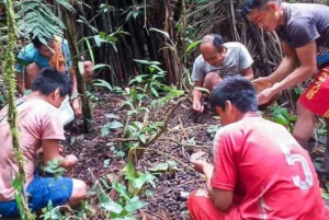 Ashaninka, rio Amônia, aldeia Apiwtxa, Projeto Sementes