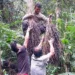 Ashaninka, rio Amônia, aldeia Apiwtxa, Projeto Sementes