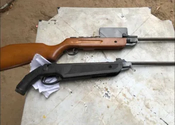Armas foram encontradas junto com munição e drogas. (Foto: Polícia Civil)