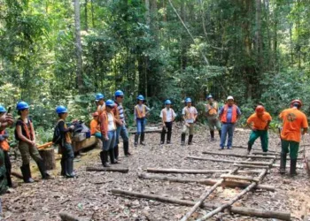 Educação Profissional abre quase 700 vagas em cursos na área de produção florestal e manejo sustentável em todo o Estado