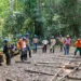 Educação Profissional abre quase 700 vagas em cursos na área de produção florestal e manejo sustentável em todo o Estado
