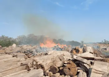 Incêndio registrado em madeireira nesta tarde,19, em Rio Branco. (Foto: Corpo de Bombeiros AC)