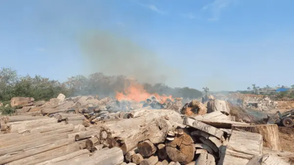 Acre registra 234 focos de incêndio, de janeiro a julho; tendência é de crescimento