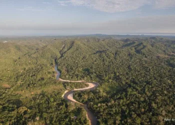 Vista de drone do Rio Moa no Parque Nacional da Serra do Divisor, e conjunto montanhoso na divisa com o Peru (Foto: Andre Dib)