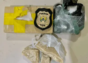 Droga estava escondida em mochila. (Foto: Polícia Civil)