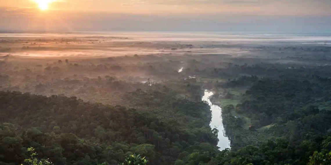 Vista aérea do Rio Moa ao amanhecer - Parque Nacional da Serra do Divisor(Foto Andre Dib)