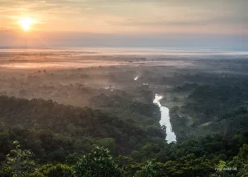 Vista aérea do Rio Moa ao amanhecer - Parque Nacional da Serra do Divisor(Foto Andre Dib)