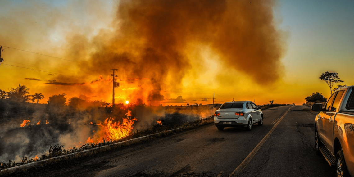 Neste ano, de acordo com dados do Inpe, o mês de agosto registrou o maior pico de queimadas no ano, com 3.185 focos (Foto: Sérgio Vale)