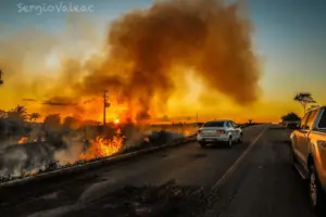 Incêndios ambientais nas áreas urbanas aumentam quase 140% no Acre 2 Incêndios ambientais nas áreas urbanas aumentam quase 140% no Acre