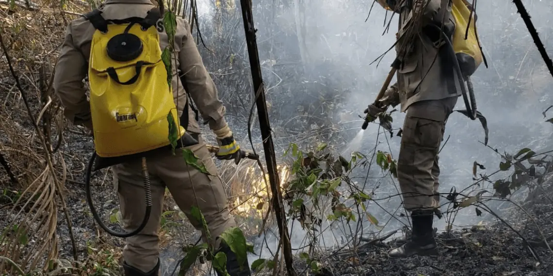 incêndios, queimadas, corpo de bombeiros