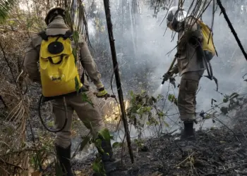 incêndios, queimadas, corpo de bombeiros