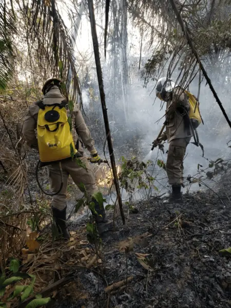 Focos de queimadas dobram no Acre em um ano, aponta Inpe