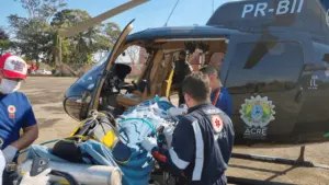 Morador de seringal fica em estado grave ao cair de árvore e é resgatado pelo Corpo de Bombeiros 2 Morador de seringal fica em estado grave ao cair de árvore e é resgatado pelo Corpo de Bombeiros