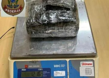 Droga era transportada por passageira de táxi com destino a Rio Branco (Foto: Polícia Civil)