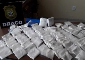 operação "asfixia" polícia civil