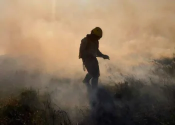 Bombeiros combatem incêndios simultâneos, na região do Calafate