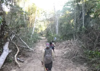 Apiwtxa apresenta dossiê sobre o risco de estrada no Peru, que se aproxima, de forma ilegal, da fronteira com o Brasil