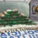 droga, pmac, preventório