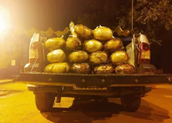 Maconha apreendida PRF