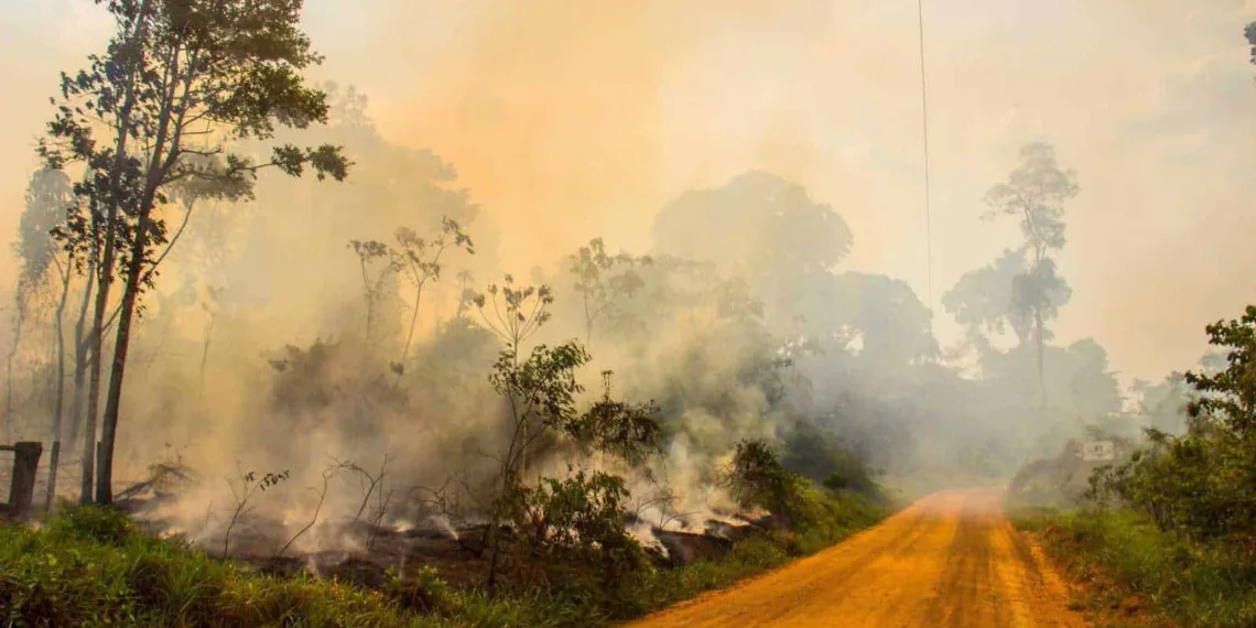 Fogo e fumaça dentro da Reserva Extrativista Chico Mendes (Foto: Ramon Aquim)