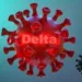 Eficácia das vacinas: confira quais imunizantes disponíveis agem contra variante Delta