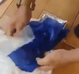 Pós-graduado em Biologia é preso por tráfico de drogas, com haxixe recebido via Correios
