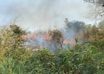 Fogo consome área de vegetação em loteamento próximo ao Parque Zoobotânico da Ufac
