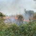 Fogo consome área de vegetação em loteamento próximo ao Parque Zoobotânico da Ufac