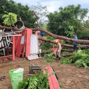 Com 55 ocorrências registradas, Defesa Civil de Rio Branco classifica tempestade de sexta como uma das mais graves do mês