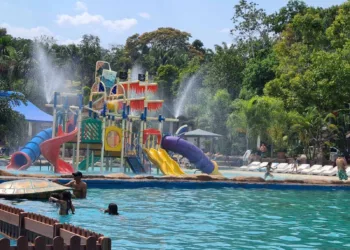 O Cacoal Selva Park é um complexo de entretenimento dentro da selva e fica localizado em Cacoal, Rondônia