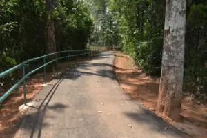 Parque Chico Mendes recebe o público a partir desta terça