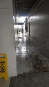 Defesa Civil registra 11 quedas de árvores após tempestade em Rio Branco