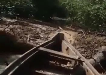 pescador eletrocutado