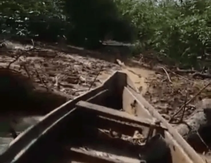 Homem morre eletrocutado por peixe às margens do rio Andirá, no Acre 1 pescador eletrocutado